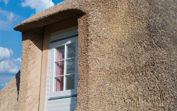Shelley Woodhouse thatch roof disadvantages