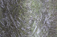 Shelley Woodhouse fibreglass roof work